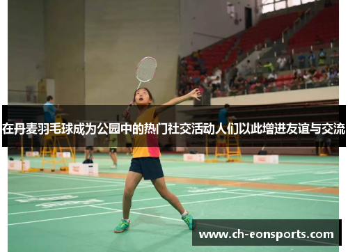在丹麦羽毛球成为公园中的热门社交活动人们以此增进友谊与交流