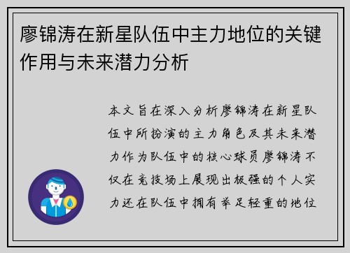 廖锦涛在新星队伍中主力地位的关键作用与未来潜力分析