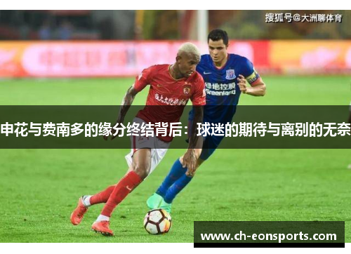 申花与费南多的缘分终结背后：球迷的期待与离别的无奈