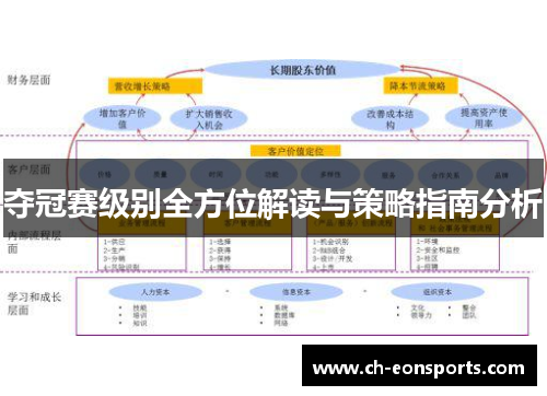 夺冠赛级别全方位解读与策略指南分析