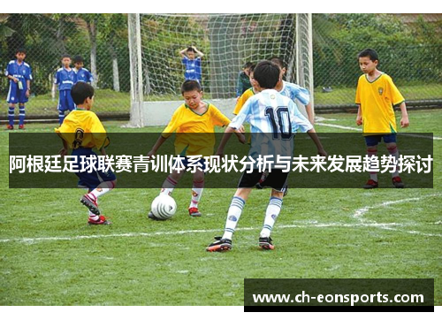 阿根廷足球联赛青训体系现状分析与未来发展趋势探讨