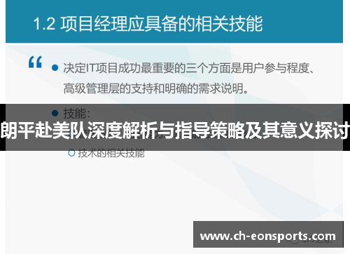 朗平赴美队深度解析与指导策略及其意义探讨